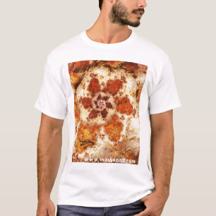 石 Tシャツ