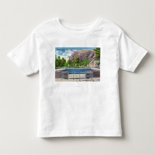 石Rimmonの市プールの眺め トドラーTシャツ (正面)