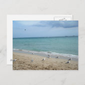 砂およびカモメ ポストカード (正面/裏面)