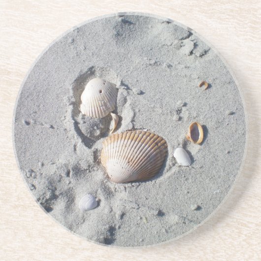 砂および貝殻のコースター コースター (正面)