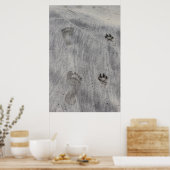 砂が恋をする ポスター (キッチン)