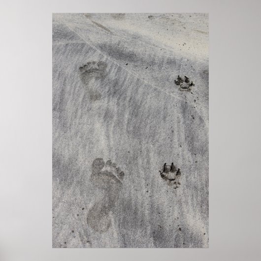 砂が恋をする ポスター (正面)