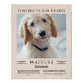 砂と茶色の犬メモリアルポートレート写真 ポスター (正面)