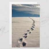 砂に足跡 便箋 (正面/裏面)