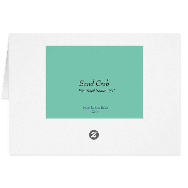 砂のカニ (裏面横)