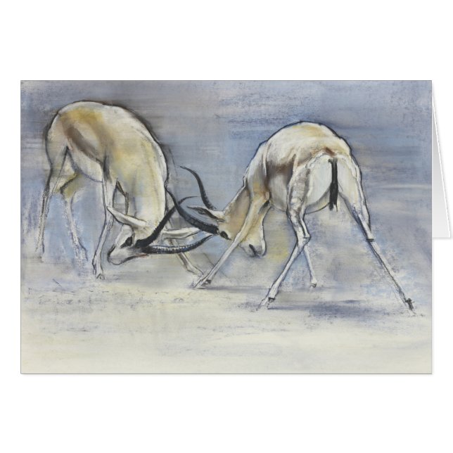 砂のガゼル2009 3 (正面横)