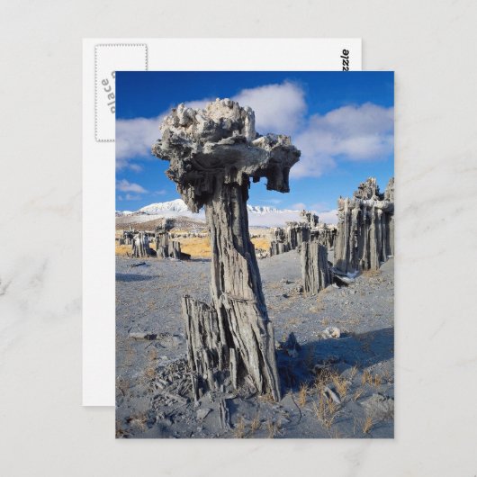 砂のタファの形成，モノレイク，カリフォルニア州，アメリカ ポストカード (正面/裏面)