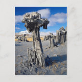 砂のタファの形成，モノレイク，カリフォルニア州，アメリカ ポストカード (正面)