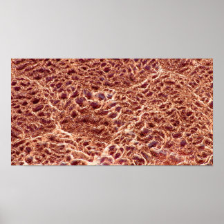 砂のバーにリップルドライマッドIII - Color Sat ポスター