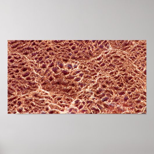 砂のバーにリップルドライマッドIII - Color Sat ポスター (正面)