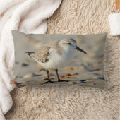 砂のパイパーおよび貝殻 ランバークッション (ブランケット)