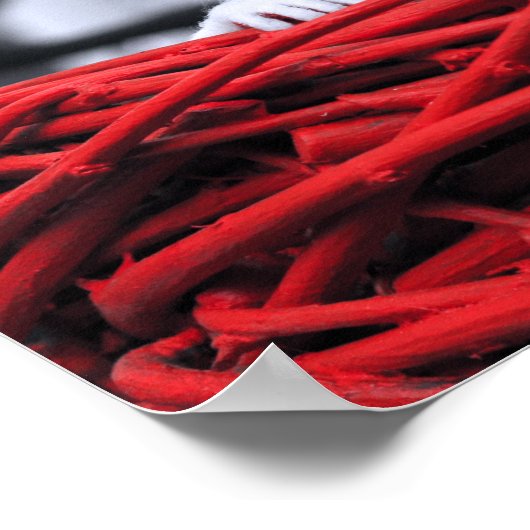 砂のポスターの種子 ポスター (角)