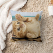 砂の上に横たわるオレンジの猫 クッション (ブランケット)