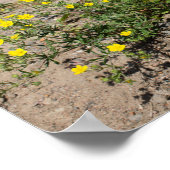 砂の上に繊細な黄色の花 ポスター (角)