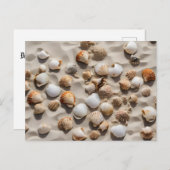 砂の上に貝殻を置く ポストカード (正面/裏面)