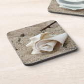 砂の上に飾る貝殻 コースター (左側)
