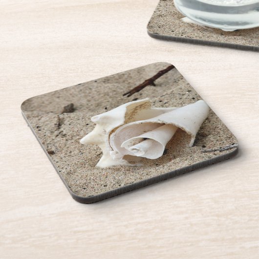 砂の上に飾る貝殻 コースター (左側)