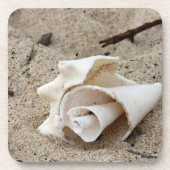 砂の上に飾る貝殻 コースター (正面)