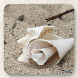 砂の上に飾る貝殻 コースター