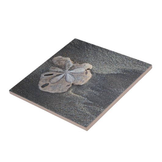 砂の上のドル タイル (側面)