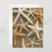 砂の上のヒトデ ポストカード (正面/裏面)