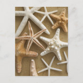 砂の上のヒトデ ポストカード (正面)