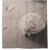 砂の上の白い貝殻の写真を閉じる シャワーカーテン (正面)