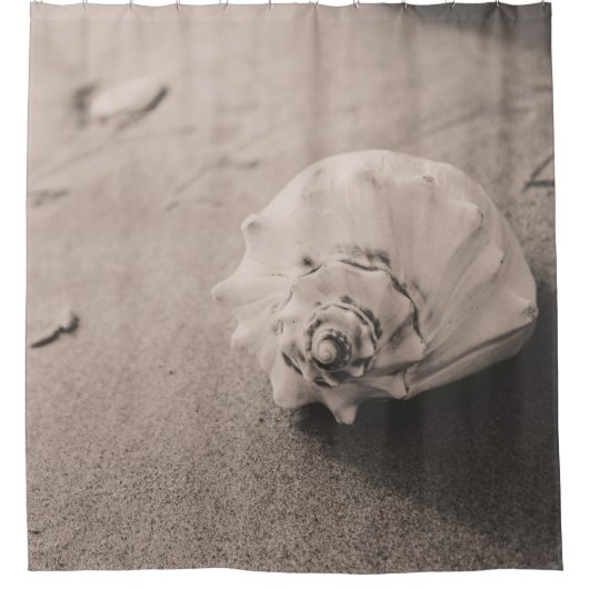 砂の上の白い貝殻の写真を閉じる シャワーカーテン (正面)