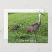 砂の丘は郵便はがきを伸ばします ポストカード (正面/裏面)