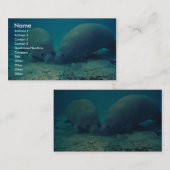 砂の中でのマナテールの発根 名刺 (正面/裏面)