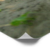 砂の中に横たわる可愛いハスキー犬 ポスター (角)