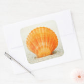 砂の中に立っているオレンジホタテの貝殻 スクエアシール (封筒)
