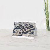 砂の中のタコ カード (正面)