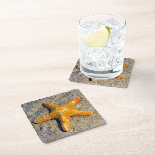 砂の中のヒトデ スクエアペーパーコースター (インサイチュ)