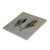 砂の中のワラビーの足跡 タイル (側面)