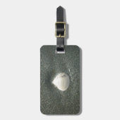 砂の中の海：塩辛いお土産 ラゲッジタグ (正面縦)