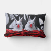 砂の中の種子 ランバークッション (正面)