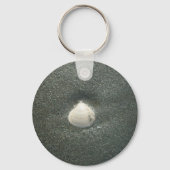 砂の中の美しい貝殻:塩辛いお土産 キーホルダー (正面)