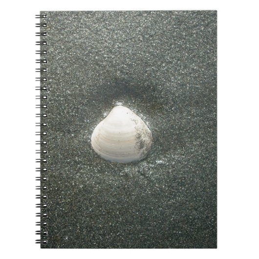 砂の中の美しい貝殻:塩辛いお土産 ノートブック (正面)