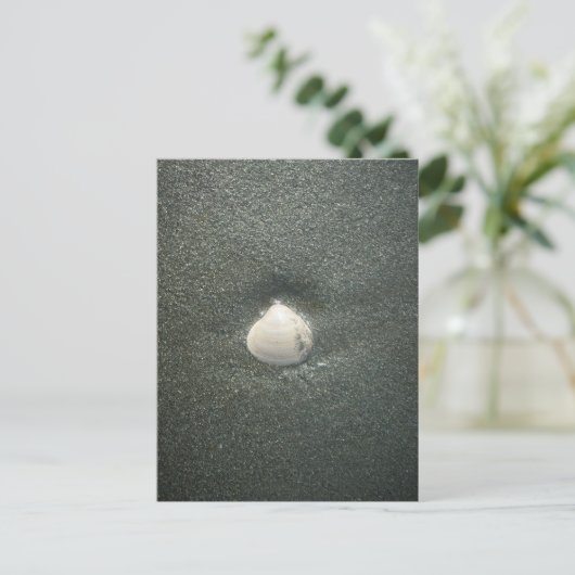 砂の中の美しい貝殻:塩辛いお土産 ポストカード (スタンド正面)