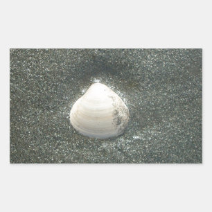 砂の中の美しい貝殻:塩辛いお土産 長方形シール