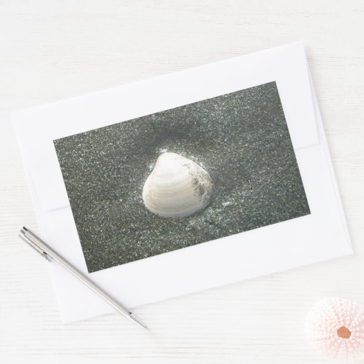 砂の中の美しい貝殻:塩辛いお土産 長方形シール (封筒)