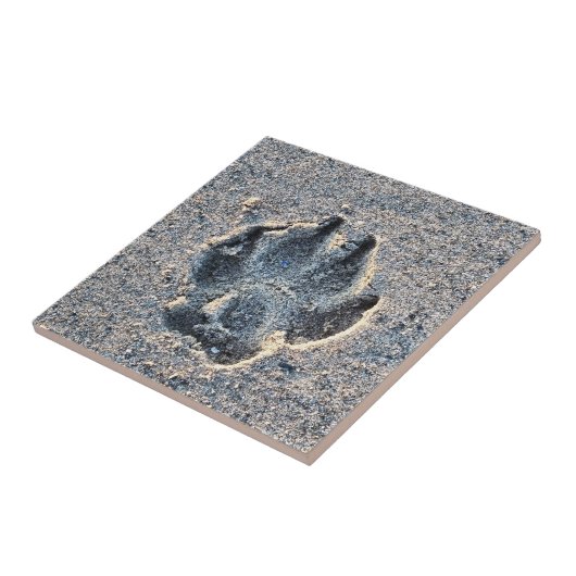 砂の中の足跡 タイル (側面)