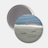 砂の中の足跡 マグネット (正面/裏面)