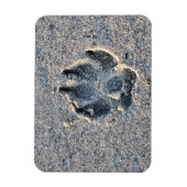 砂の中の足跡 マグネット (縦)