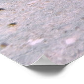 砂の中の黄色のスティングレイ ポスター (角)