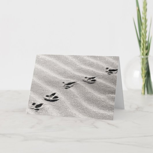 砂の写真のトラック カード (正面)