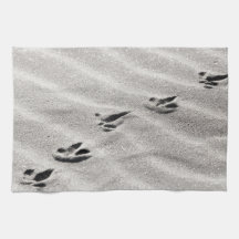 砂の写真のトラック