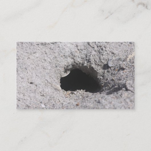 砂の名刺の穴 名刺 (裏面)