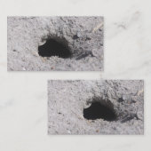 砂の名刺の穴 名刺 (正面/裏面)